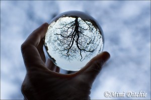 8464428009_f926db09cd_z