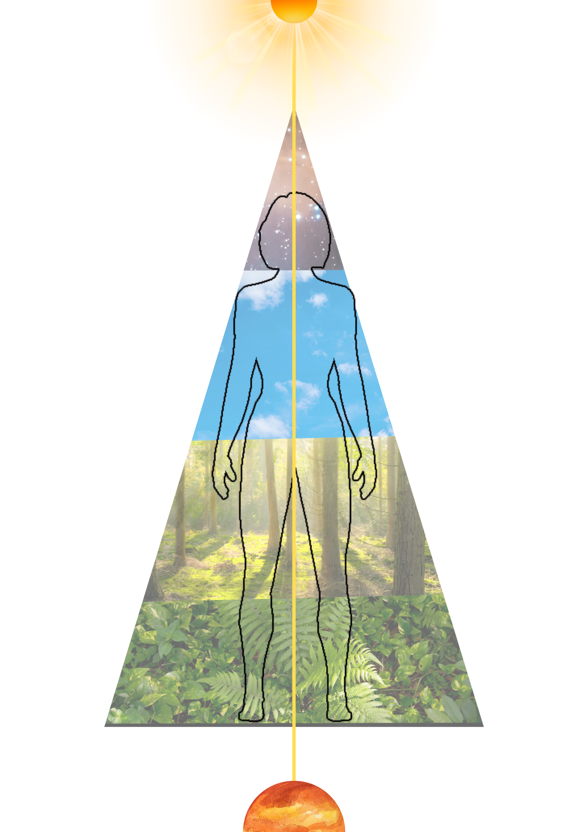 cone of nature diagram