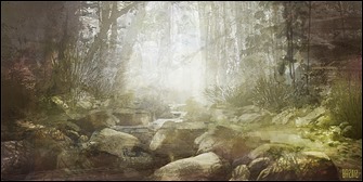 thick_forest_by_ben_andrews-d5dzbvc