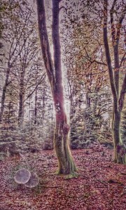 PicsArt_11-02-05.53.51fgh