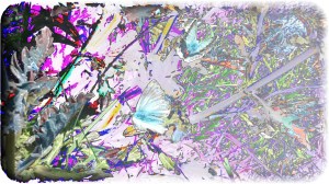 PicsArt_1438588377903 - Copy - Copy