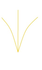 Untitledqueen's line of energy qurna